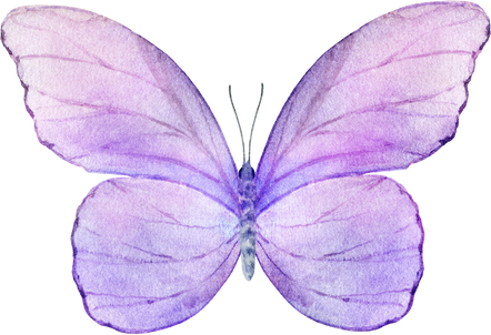 Purple  Lavender Watercolor Butterfly