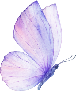 Pink Violet Watercolor Butterfly