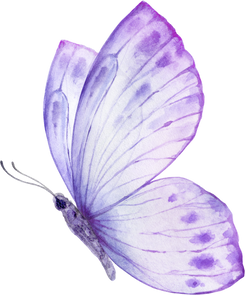 Butterfly Purple  Violet Watercolor